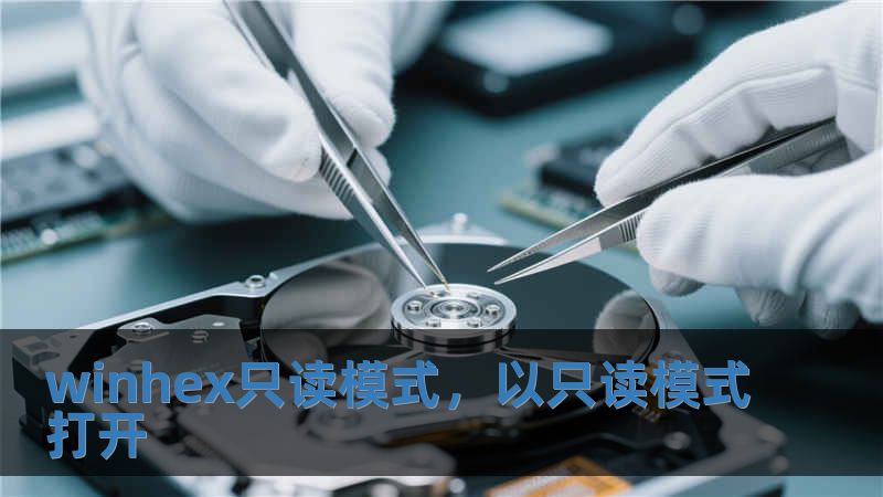 winhex只讀模式，以只讀模式打開