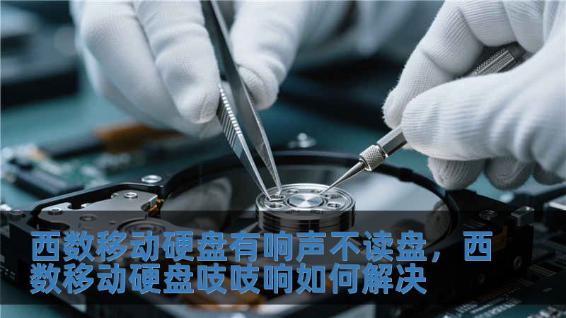 西數移動硬盤有響聲不讀盤，西數移動硬盤吱吱響如何解決