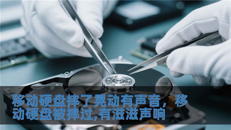 移動硬盤摔了晃動有聲音，移動硬盤被摔過,有滋滋聲響