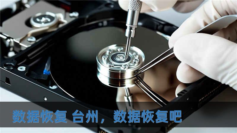 數(shù)據(jù)恢復(fù) 臺州，數(shù)據(jù)恢復(fù)吧