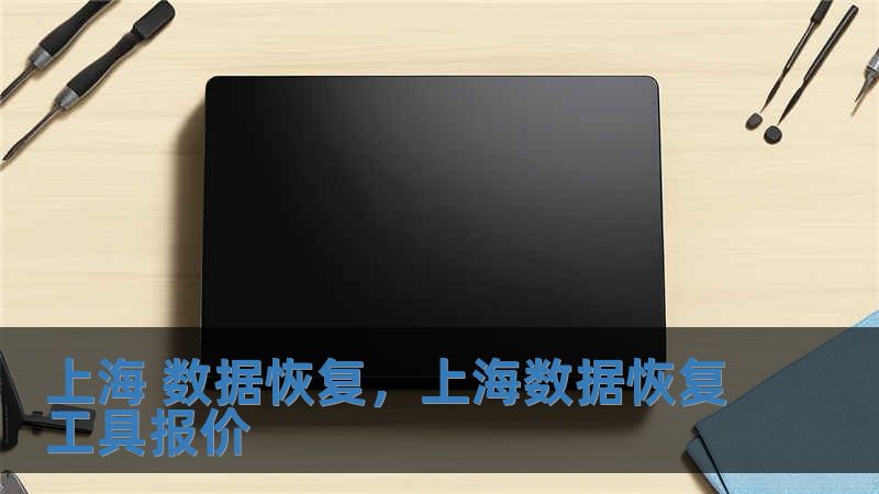 上海 數(shù)據(jù)恢復(fù)，上海數(shù)據(jù)恢復(fù)工具報(bào)價(jià)