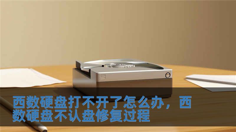 西數硬盤打不開了怎么辦，西數硬盤不認盤修復過程