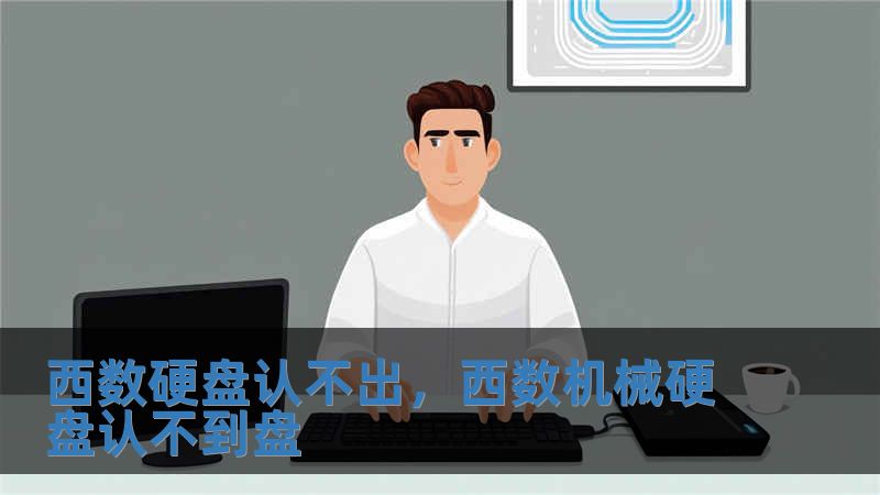 西數硬盤認不出，西數機械硬盤認不到盤
