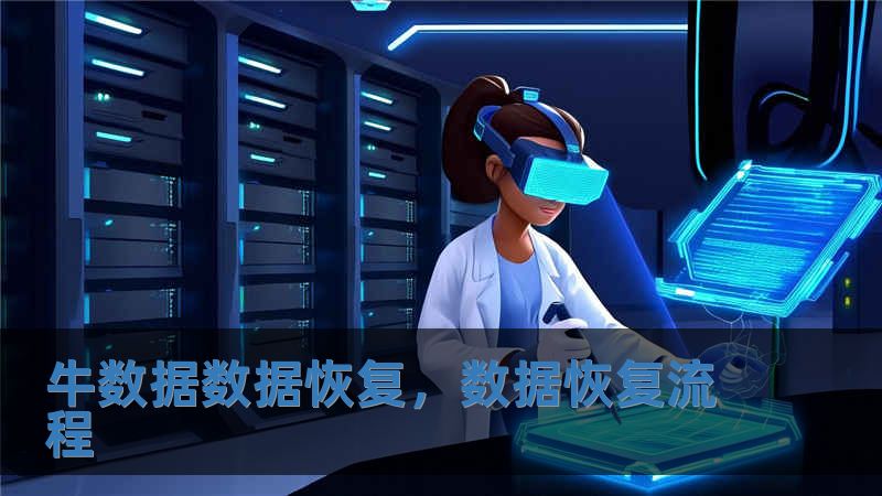 牛數據數據恢復，數據恢復流程