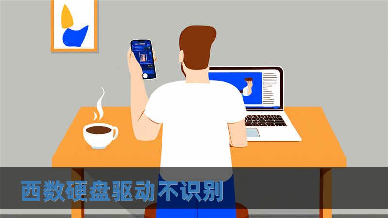 西數硬盤驅動不識別