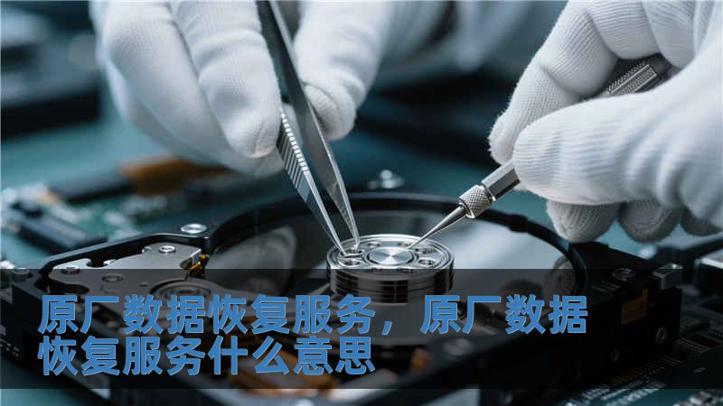 原廠數據恢復服務，原廠數據恢復服務什么意思