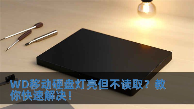 WD移動硬盤燈亮但不讀??？教你快速解決！