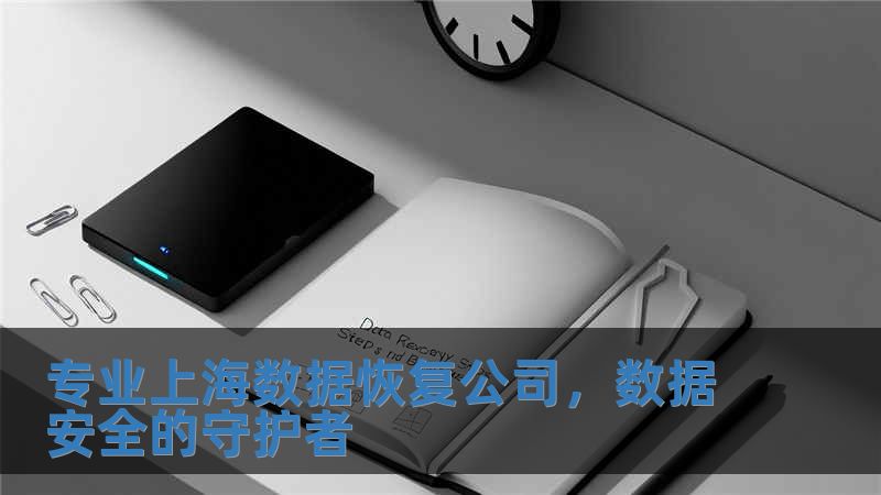 專業上海數據恢復公司，數據安全的守護者