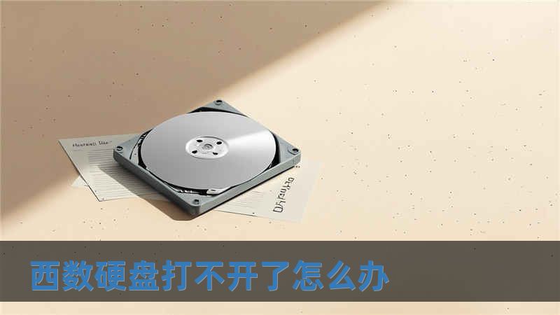 西數硬盤打不開了怎么辦