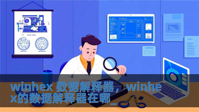 winhex 數據解釋器，winhex的數據解釋器在哪_