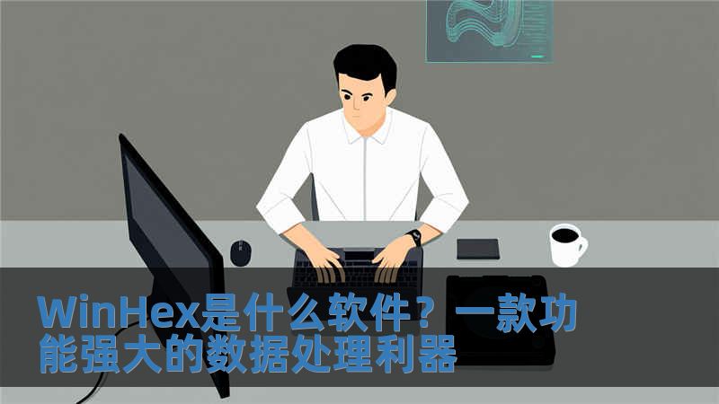 WinHex是什么軟件？一款功能強大的數據處理利器