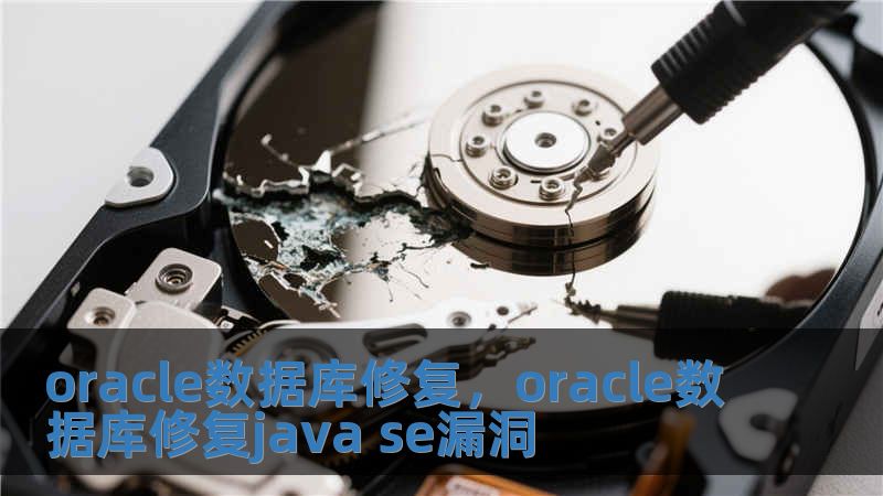 oracle數(shù)據(jù)庫(kù)修復(fù)，oracle數(shù)據(jù)庫(kù)修復(fù)java se漏洞