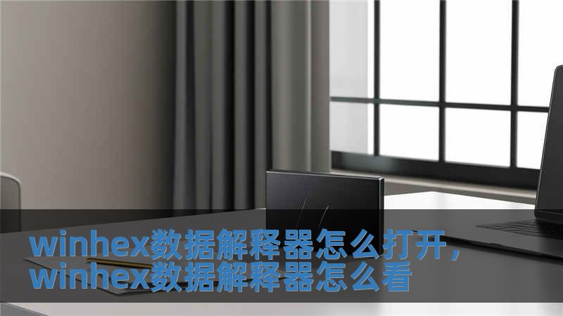 winhex數據解釋器怎么打開，winhex數據解釋器怎么看