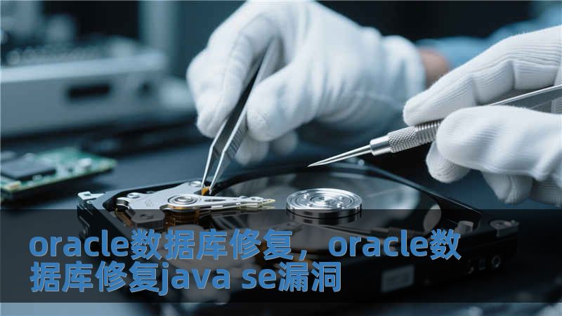 oracle數(shù)據(jù)庫(kù)修復(fù)，oracle數(shù)據(jù)庫(kù)修復(fù)java se漏洞