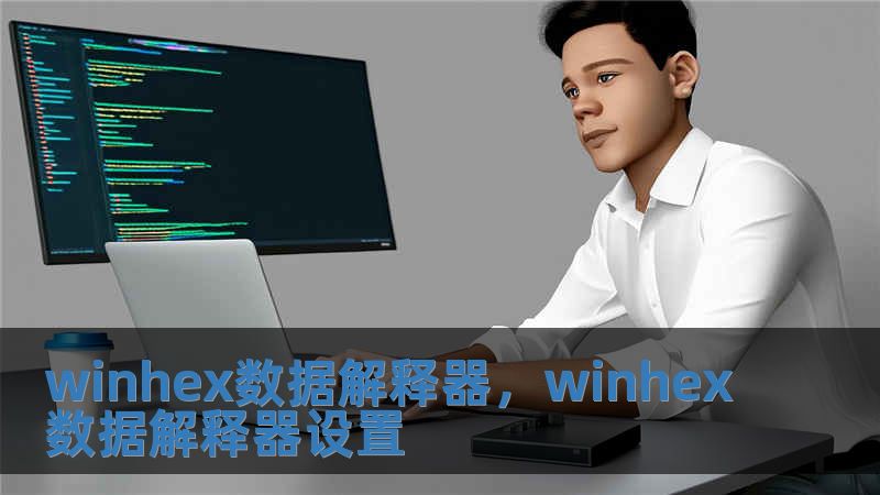winhex數據解釋器，winhex數據解釋器設置