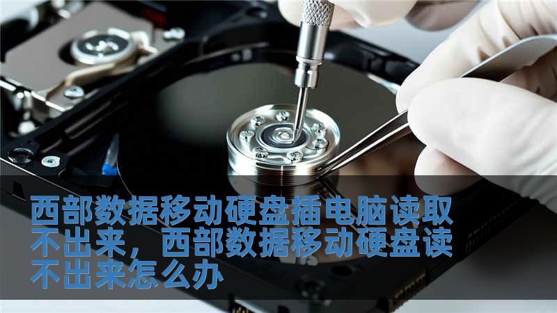 西部數據移動硬盤插電腦讀取不出來，西部數據移動硬盤讀不出來怎么辦