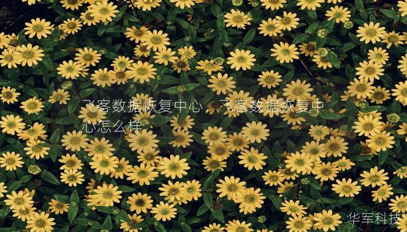 飛客數據恢復中心，飛客數據恢復中心怎么樣