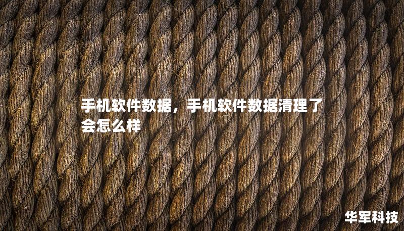 手機軟件數據，手機軟件數據清理了會怎么樣