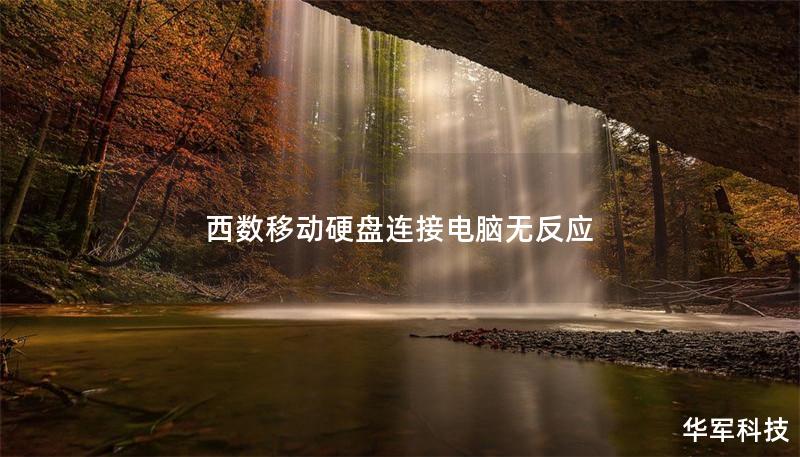 西數(shù)移動硬盤連接電腦無反應