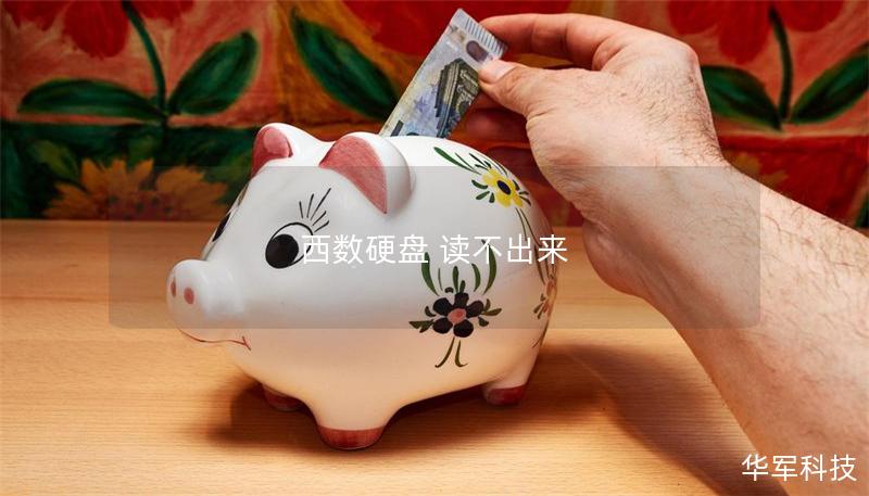 西數(shù)硬盤 讀不出來