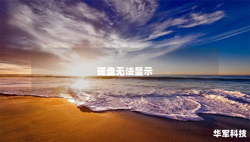 磁盤無法顯示
